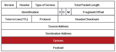 ip-options.png